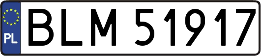 BLM51917