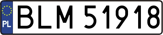 BLM51918
