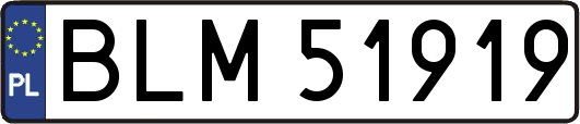 BLM51919