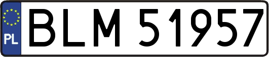 BLM51957
