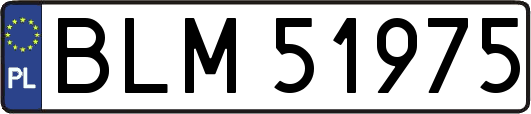 BLM51975