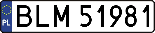 BLM51981