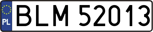 BLM52013