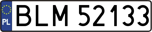 BLM52133