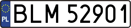 BLM52901