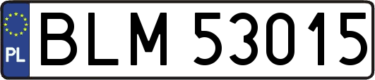 BLM53015