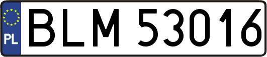 BLM53016