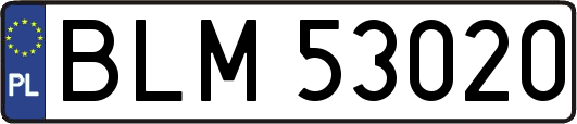 BLM53020