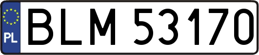 BLM53170