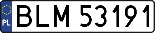 BLM53191