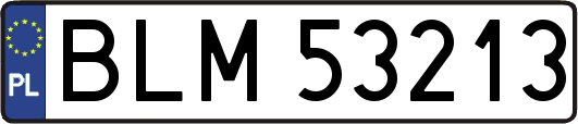 BLM53213