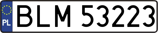 BLM53223