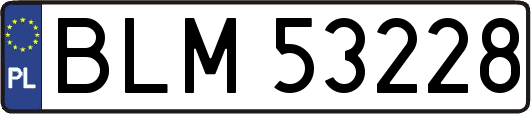 BLM53228