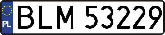 BLM53229