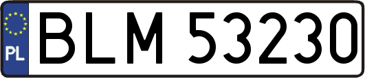 BLM53230
