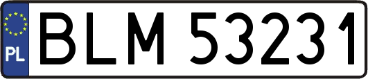BLM53231