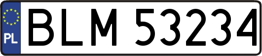 BLM53234