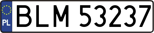 BLM53237