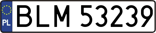 BLM53239