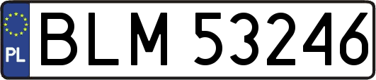 BLM53246