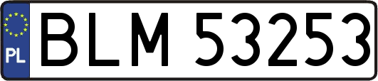 BLM53253