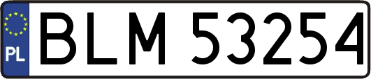 BLM53254