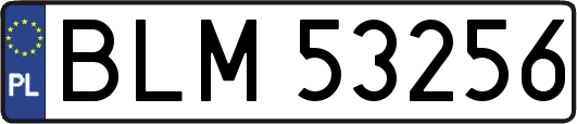 BLM53256