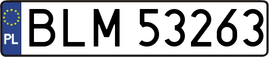 BLM53263