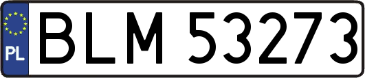 BLM53273