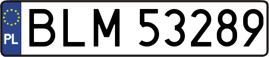 BLM53289