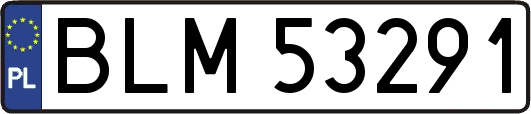 BLM53291