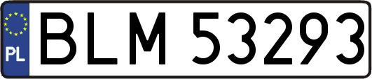 BLM53293