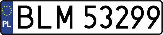 BLM53299