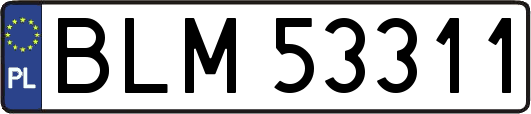 BLM53311