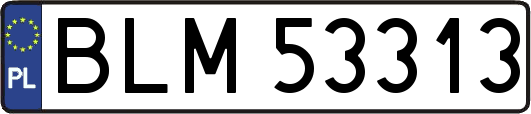 BLM53313