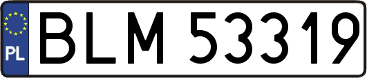 BLM53319