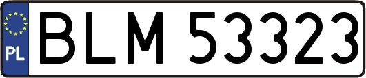 BLM53323