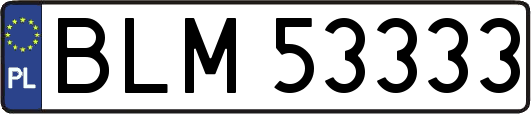 BLM53333