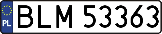 BLM53363