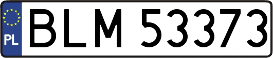 BLM53373