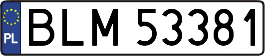 BLM53381