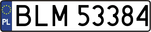 BLM53384