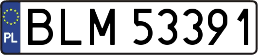 BLM53391