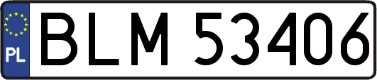 BLM53406