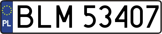BLM53407