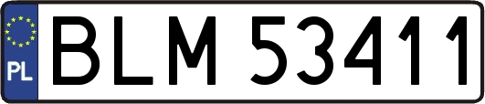BLM53411