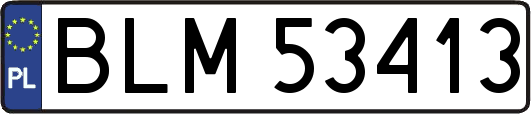 BLM53413