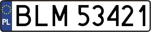 BLM53421