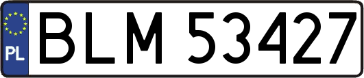 BLM53427