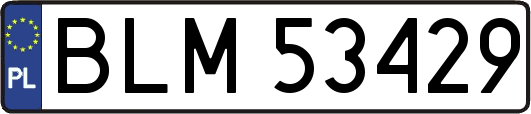 BLM53429